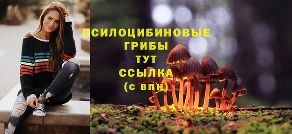 mix Зерноград