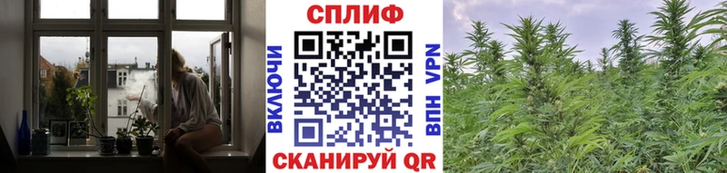 Марихуана VHQ  Купить закладки  Ефремов 